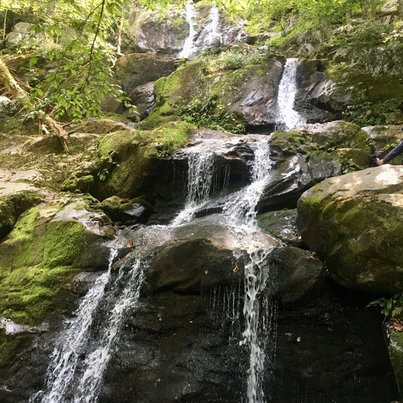 Share Show October 18 at 12:00pm EST - Picture 8 of 8